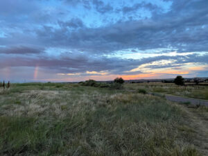 Path through field with rainbow