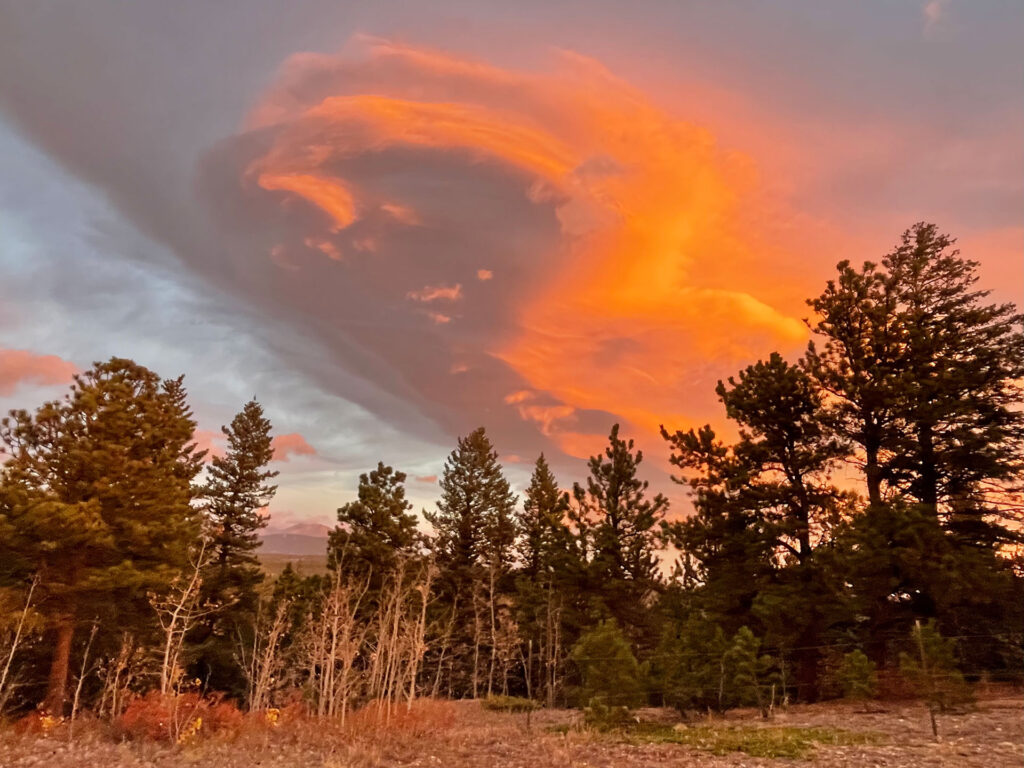 Orange clouds over trees